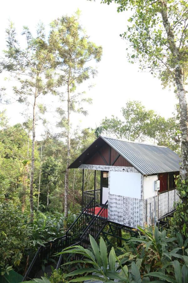 Spice Valley Home Stay & Tree House Munnar Εξωτερικό φωτογραφία