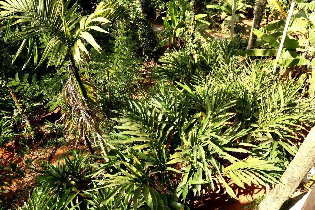 Spice Valley Home Stay & Tree House Munnar Εξωτερικό φωτογραφία